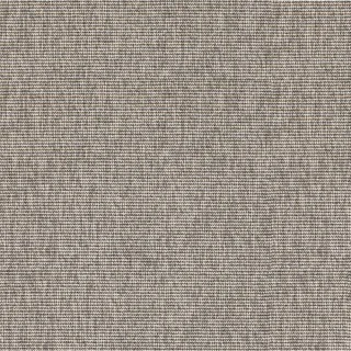 Bonaire Pewter 