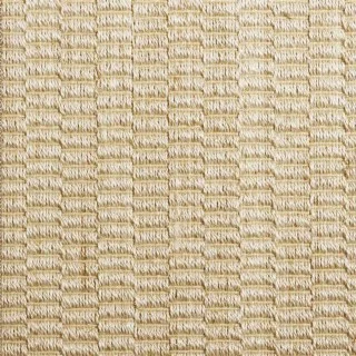 Didoron Seashell