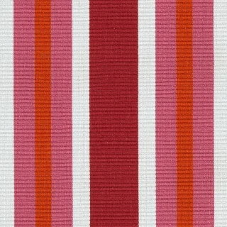 Solstice Pink 