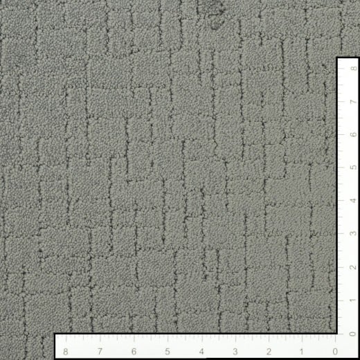 Custom Tapestry Steel Wool, 100% Nylon 6,6 Fiber; STAINMASTER PetProtect Area Rug