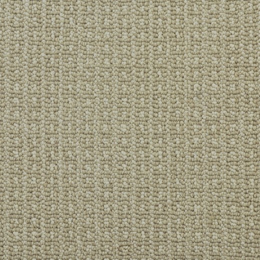 Custom Oakwood Birch, 100% Nylon 6,6 Fiber; STAINMASTER PetProtect Area Rug