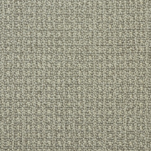 Custom Oakwood Oyster Shell, 100% Nylon 6,6 Fiber; STAINMASTER PetProtect Area Rug