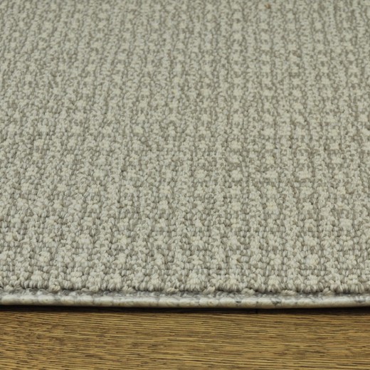 Custom Fetch Oyster Shell, 100% Nylon 6,6 Fiber; STAINMASTER PetProtect Area Rug