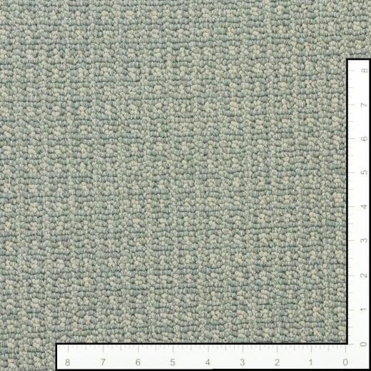 Custom Oakwood Surf Spray, 100% Nylon 6,6 Fiber; STAINMASTER PetProtect Area Rug