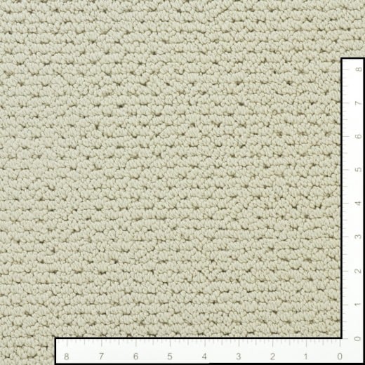 Custom Harmony Aged White, 100% Continuous Filament Nylon Area Rug