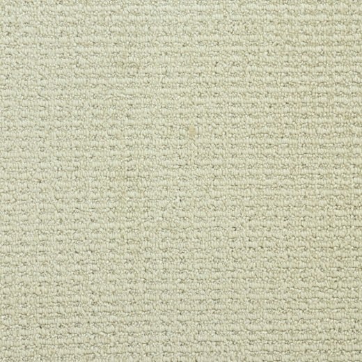 Custom New Avenue Alaskan, 100% Anso Bcf Nylon Area Rug