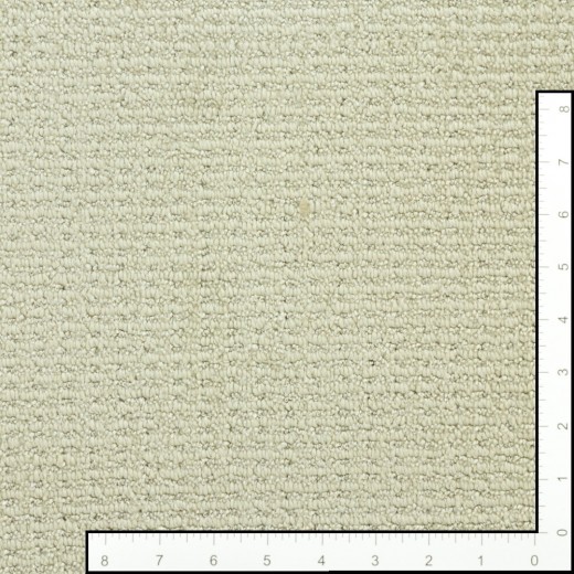 Custom New Avenue Alaskan, 100% Anso Bcf Nylon Area Rug