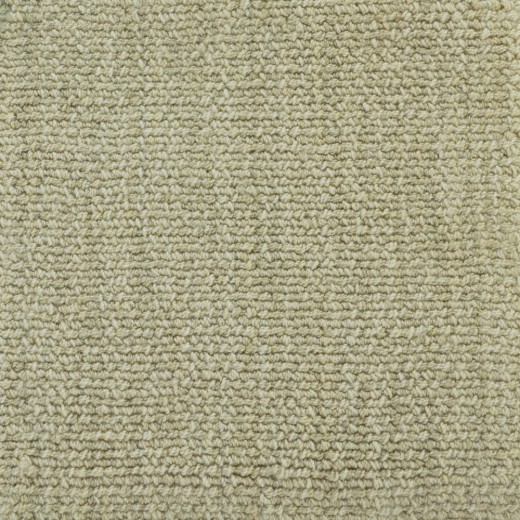 Custom Nexus Dazzle Chamois, 100% Nylon Type 6,6 Area Rug