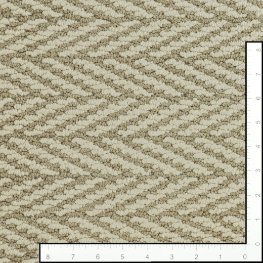 Custom Only Natural Plaza Taupe, 100% Stainmaster Nylon Area Rug