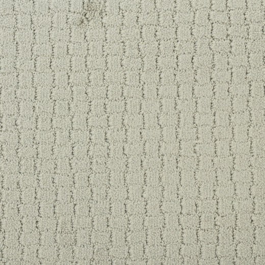 Custom Pawstruck Silver Fox, 100% Superiasd Nylon 6,6 Fiber; STAINMASTER PetProtect Area Rug