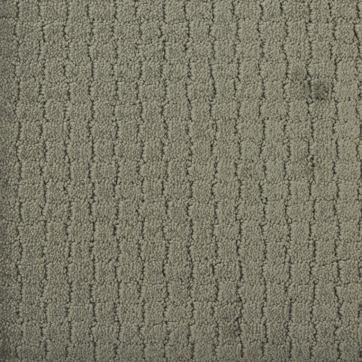 Custom Pawstruck Smoked Oyster, 100% Superiasd Nylon 6,6 Fiber; STAINMASTER PetProtect Area Rug