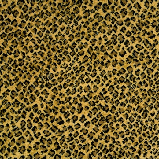 Custom Advantage Wild Root, 100% Polypropylene Area Rug