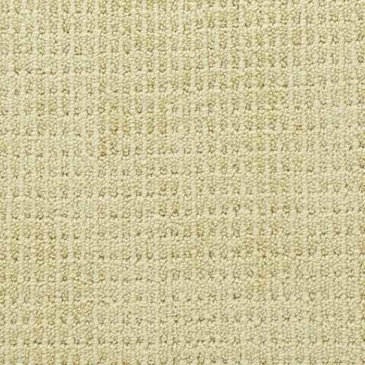 Custom Something New Satin Ivory, 100% Anso BCF Nylon Area Rug