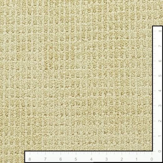 Custom Something New Satin Ivory, 100% Anso BCF Nylon Area Rug