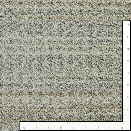 Custom Dewlight Modern Ivory, 100% Anso Caress Bcf Nylon Area Rug