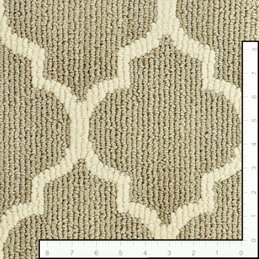 Custom Taza Plaza Taupe, 100% Stainmaster Nylon Area Rug
