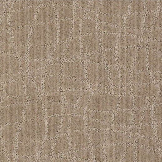 Custom Twist Miners Dust, 100% Stainmaster Nylon Area Rug