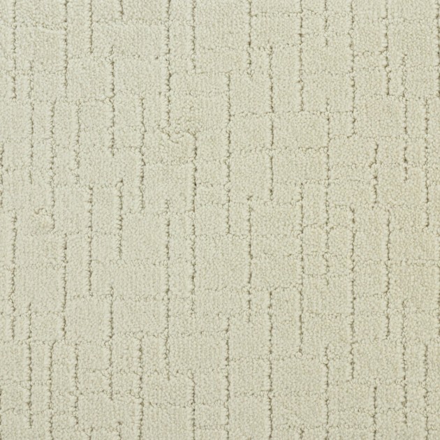 Custom Faux Paw Barely Beige, 100% Nylon 6,6 Fiber; STAINMASTER PetProtect Area Rug