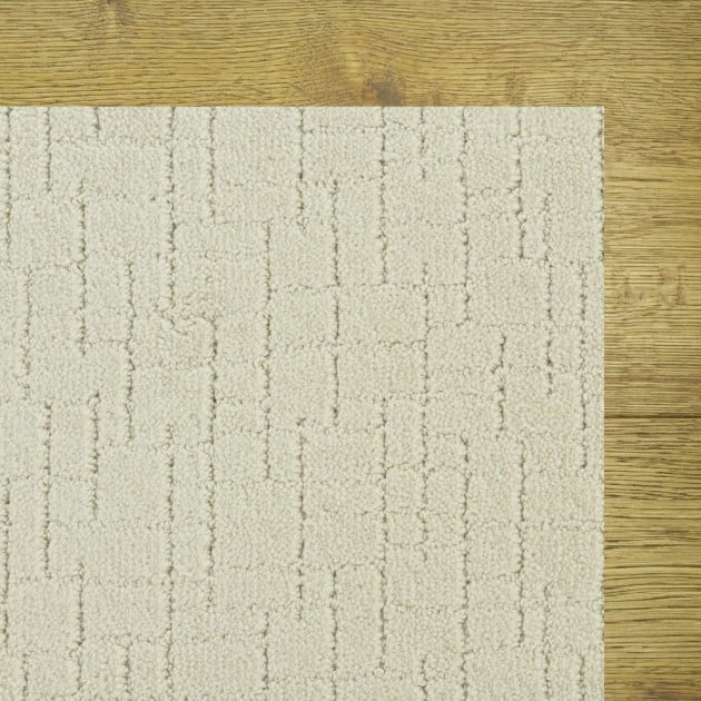Custom Faux Paw Barely Beige, 100% Nylon 6,6 Fiber; STAINMASTER PetProtect Area Rug