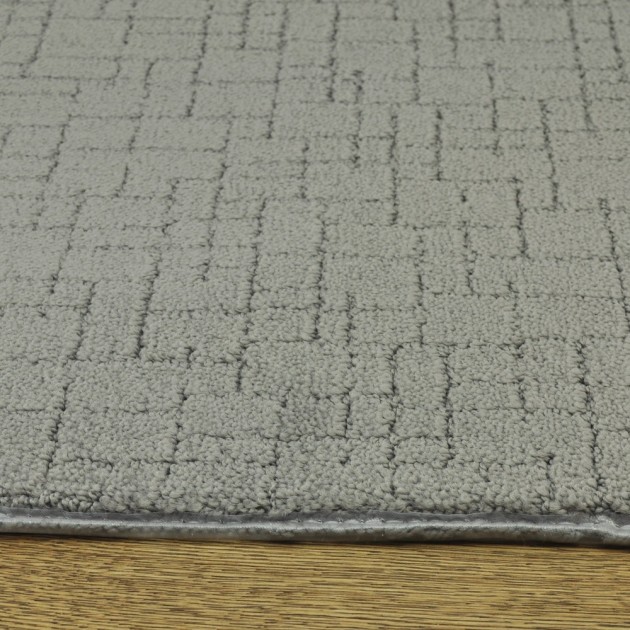 Custom Faux Paw Steel Wool, 100% Nylon 6,6 Fiber; STAINMASTER PetProtect Area Rug