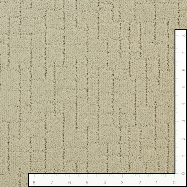 Custom Faux Paw Toffee Cream, 100% Nylon 6,6 Fiber; STAINMASTER PetProtect Area Rug