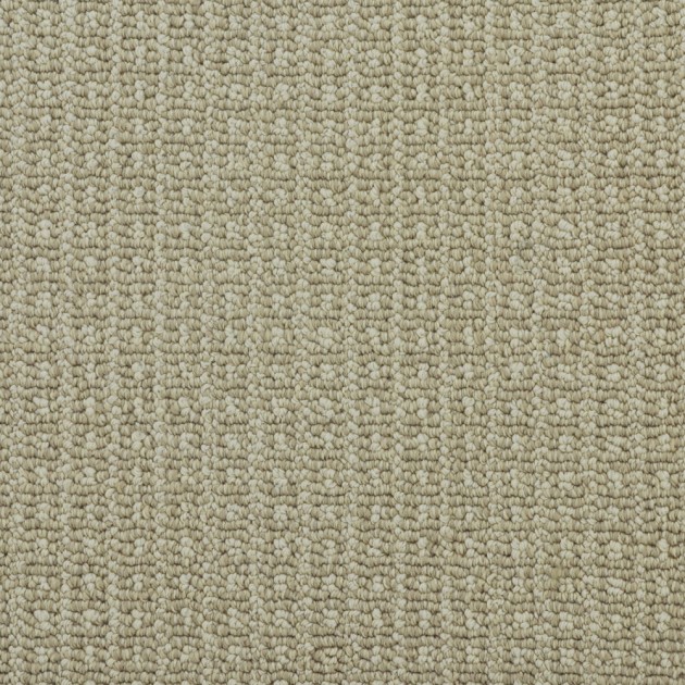 Custom Fetch Birch, 100%  Nylon 6,6 Fiber; STAINMASTER PetProtect Area Rug