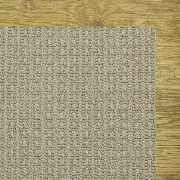 Custom Fetch Birch, 100%  Nylon 6,6 Fiber; STAINMASTER PetProtect Area Rug