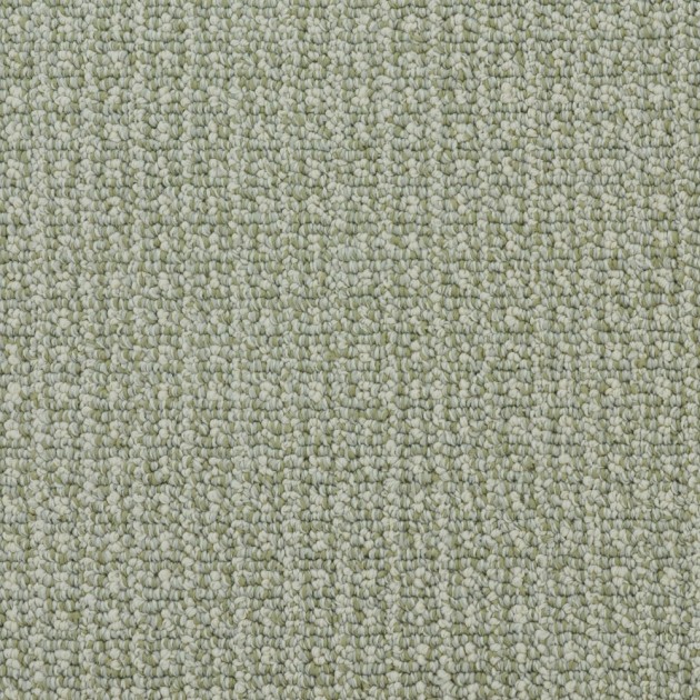 Custom Fetch Soft Fern, 100%  Nylon 6,6 Fiber; STAINMASTER PetProtect Area Rug