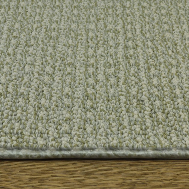 Custom Fetch Soft Fern, 100%  Nylon 6,6 Fiber; STAINMASTER PetProtect Area Rug