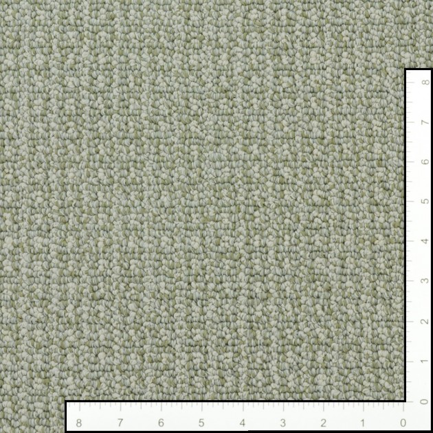 Custom Fetch Soft Fern, 100%  Nylon 6,6 Fiber; STAINMASTER PetProtect Area Rug