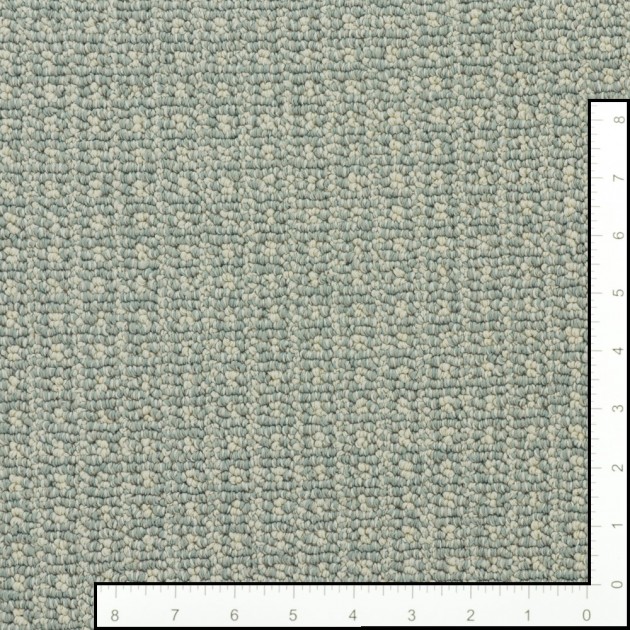 Custom Fetch Surf Spray, 100%  Nylon 6,6 Fiber; STAINMASTER PetProtect Area Rug