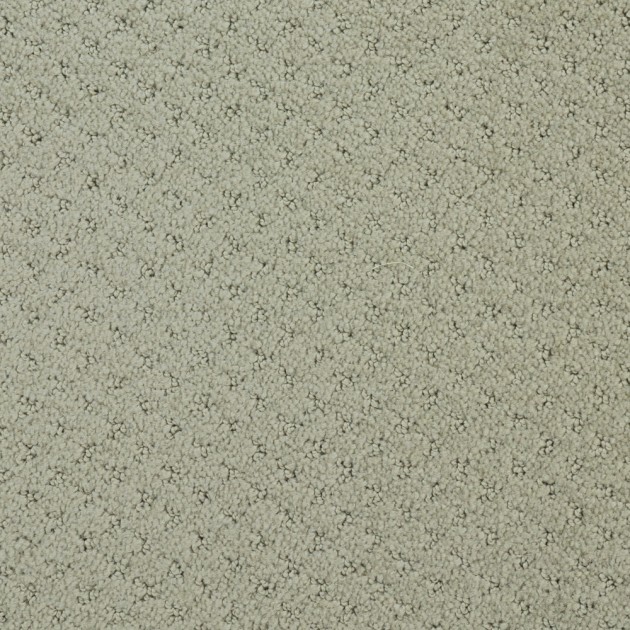 Custom Mar Vista Bit Of Gray, 100% Continuous Filament Nylon Area Rug