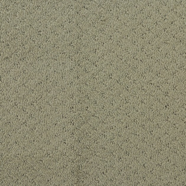 Custom Mar Vista Koala, 100% Continuous Filament Nylon Area Rug