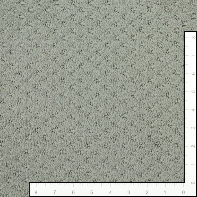 Custom Mar Vista Silver Fox, 100% Continuous Filament Nylon Area Rug