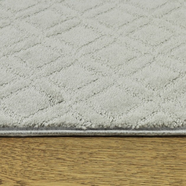 Custom Muse Gentle Gray, 100% Continuous Filament Nylon Area Rug