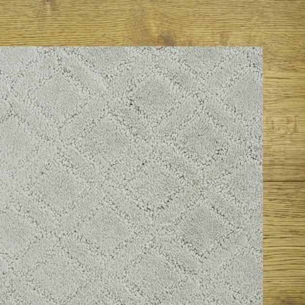 Custom Muse Gentle Gray, 100% Continuous Filament Nylon Area Rug