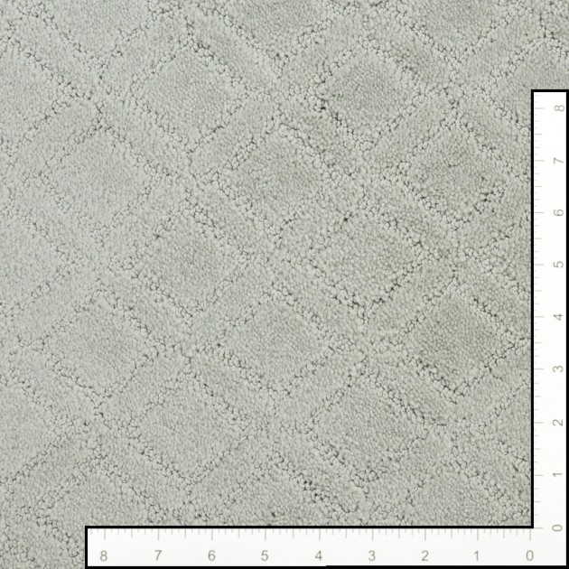 Custom Muse Gentle Gray, 100% Continuous Filament Nylon Area Rug