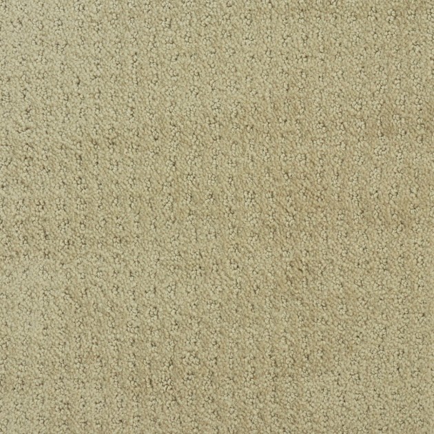 Custom New Vibe Bisque, 100% Stainmaster Bcf Nylon Area Rug