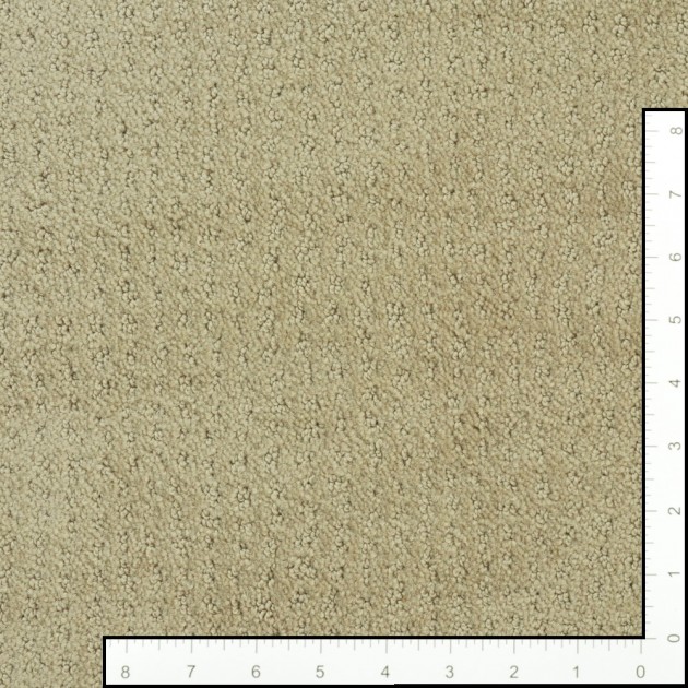 Custom New Vibe Bisque, 100% Stainmaster Bcf Nylon Area Rug