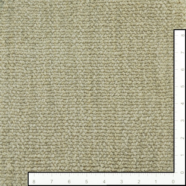 Custom Nexus Dazzle Chamois, 100% Nylon Type 6,6 Area Rug