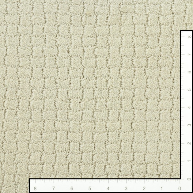 Custom Pawstruck Barely Beige, 100% Superiasd Nylon 6,6 Fiber; STAINMASTER PetProtect Area Rug