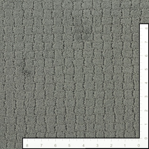 Custom Pawstruck Steel Wool, 100% Superiasd Nylon 6,6 Fiber; STAINMASTER PetProtect Area Rug