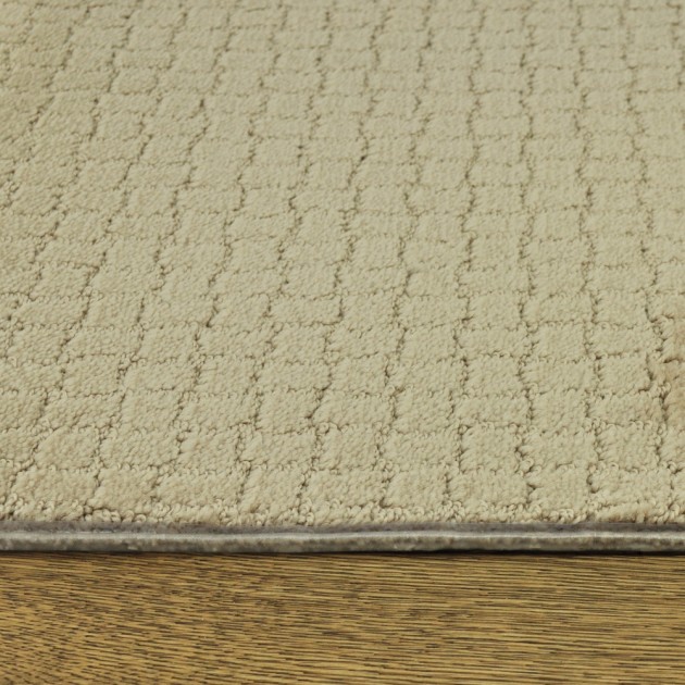 Custom Pawstruck Toffee Cream, 100% Superiasd Nylon 6,6 Fiber; STAINMASTER PetProtect Area Rug