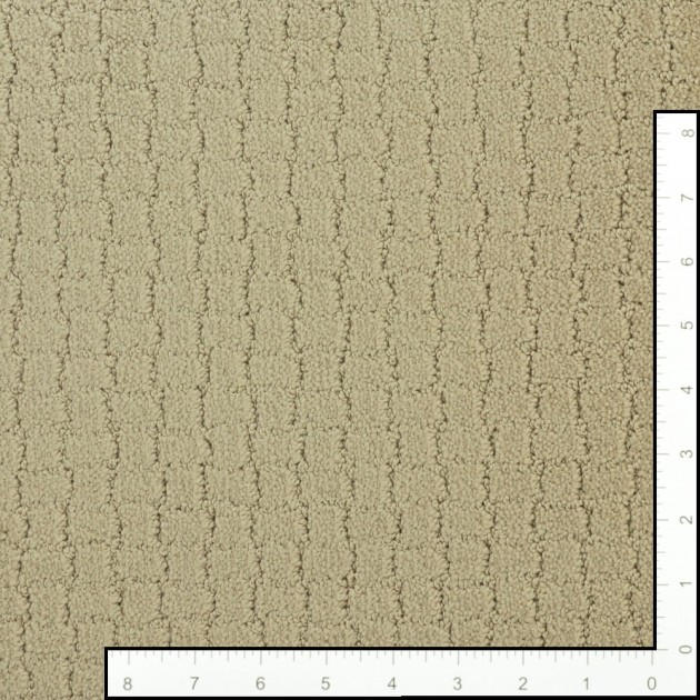Custom Pawstruck Toffee Cream, 100% Superiasd Nylon 6,6 Fiber; STAINMASTER PetProtect Area Rug