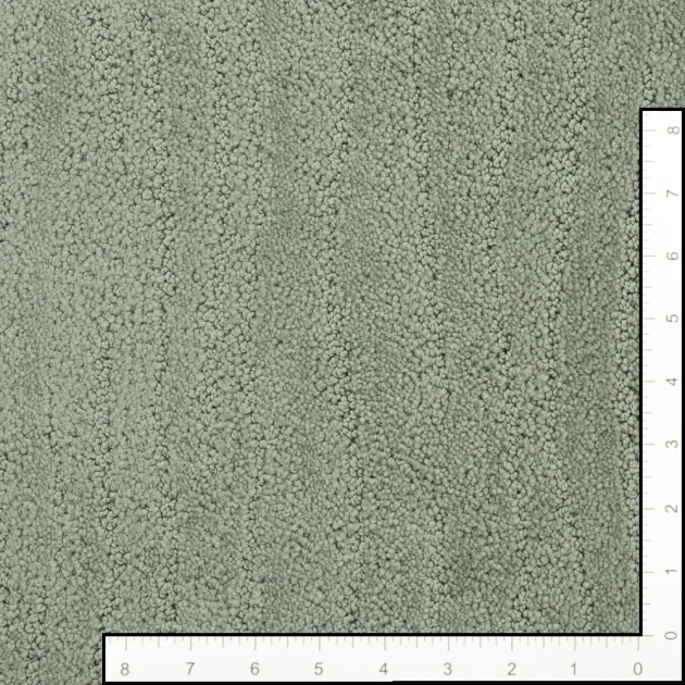 Custom Pose Pine Forest, 100% Continuous Filament Nylon Area Rug