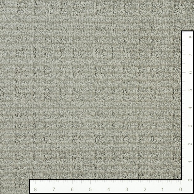 Custom Purrsuasion Cement, 100% Nylon 6,6 Fiber; STAINMASTER PetProtect Area Rug