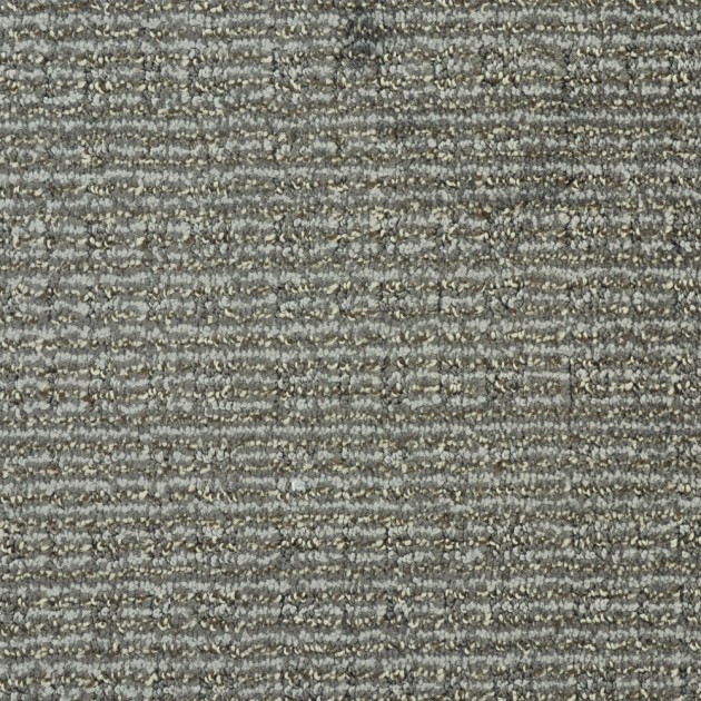 Custom Purrsuasion Cyberspace, 100% Nylon 6,6 Fiber; STAINMASTER PetProtect Area Rug