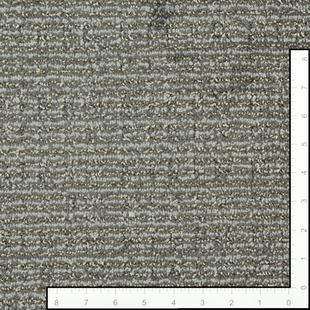 Custom Purrsuasion Cyberspace, 100% Nylon 6,6 Fiber; STAINMASTER PetProtect Area Rug