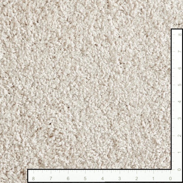 Custom Shaggy Superstar Bone, 100% Solution Dyed Polypropylene Area Rug