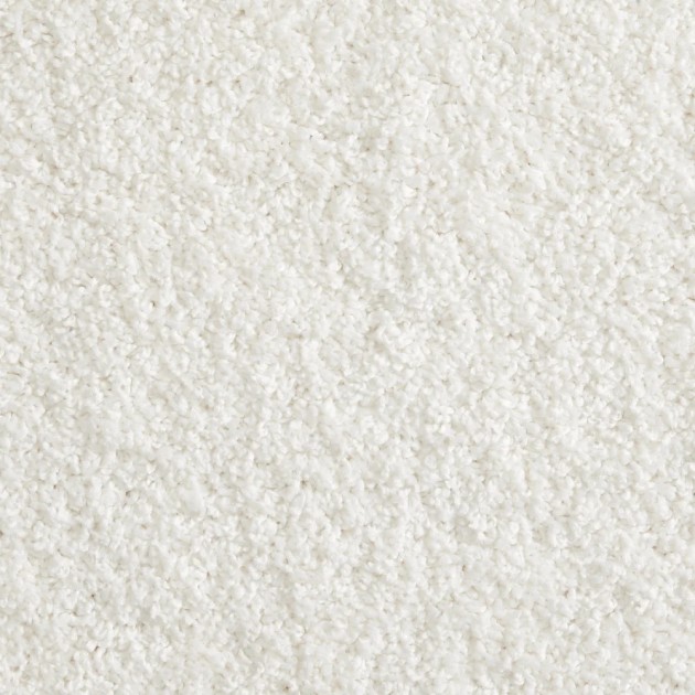 Custom Shaggy Superstar Frost, 100% Solution Dyed Polypropylene Area Rug